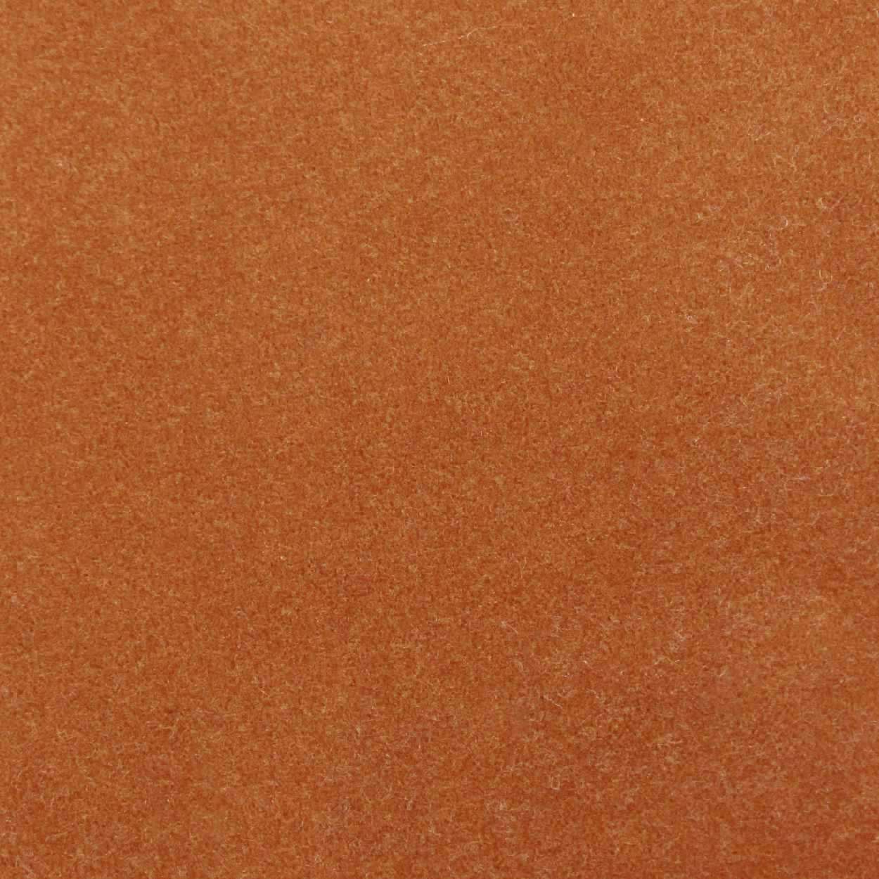 Sienna